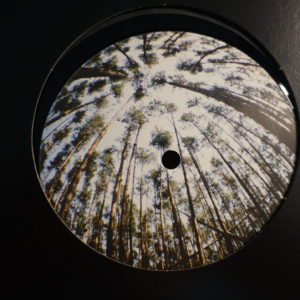 Various Duality - DeepnosiS - DPNS002 - 12"