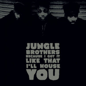 Jungle Brothers - Because I Got It Like That / I'll House You - Idlers - 7WAR016P - 7", RE
