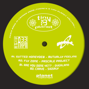 Various - Tiny Planet Vol.3 - Planet Euphorique - PE013 - 12"