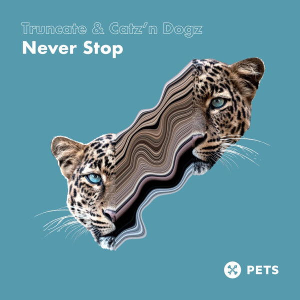 Truncate & Catz'n Dogz - NEVER STOP EP - Pets Recordings - PETS126V - 12"